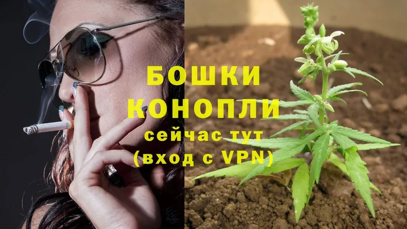 Каннабис OG Kush  kraken как войти  Прохладный 